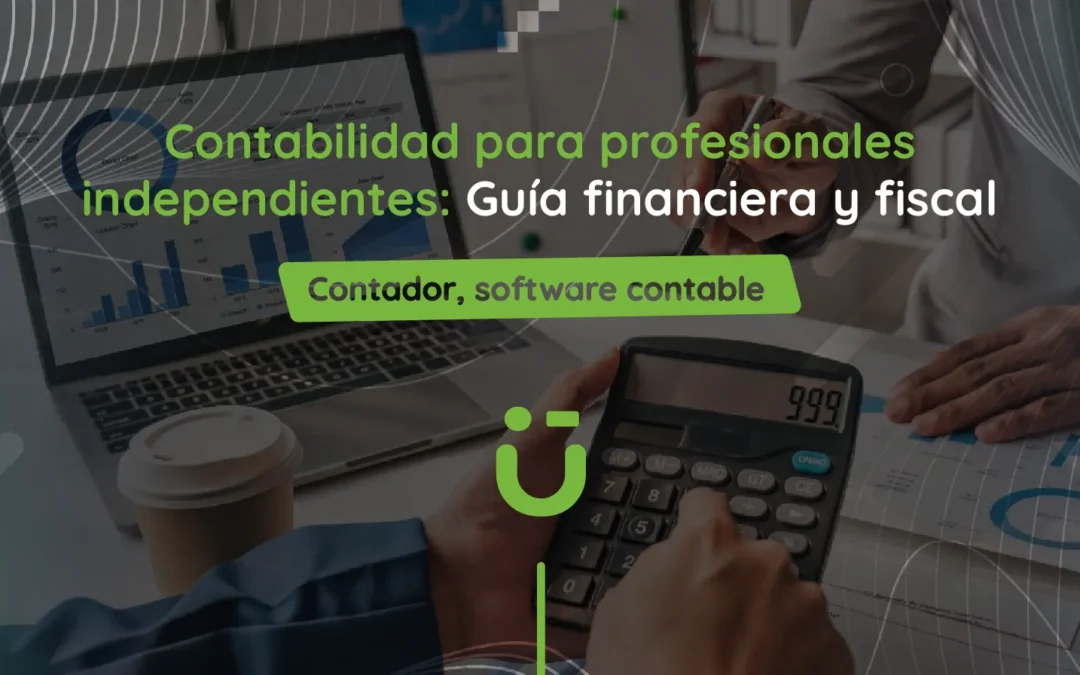 Contabilidad para profesionales independientes: Guía financiera y fiscal